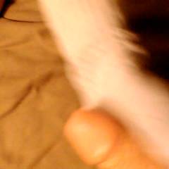 album thumb