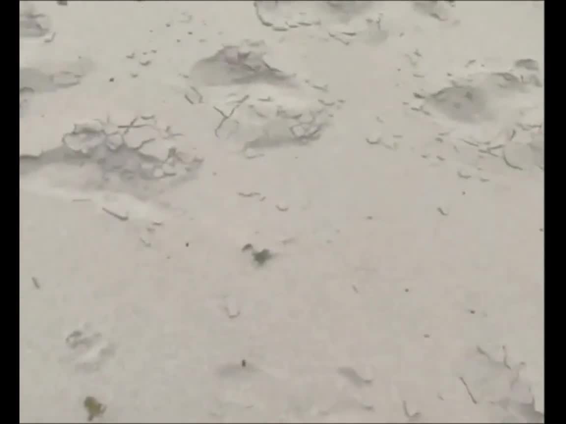 Pic #1Fucking in the dunes.