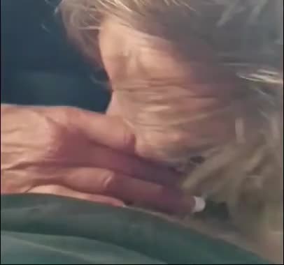 Pic #1An invite to lunch 3